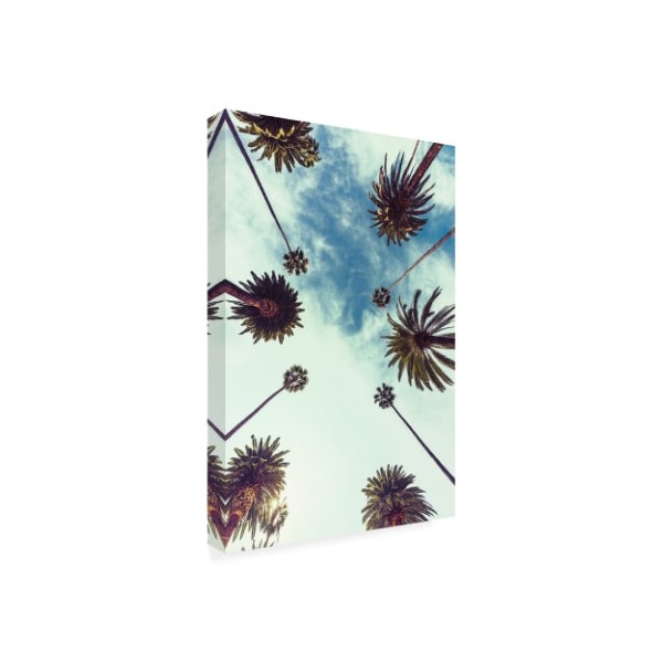 Design Fabrikken 'Palm Sky 2 Fabrikken' Canvas Art,22x32